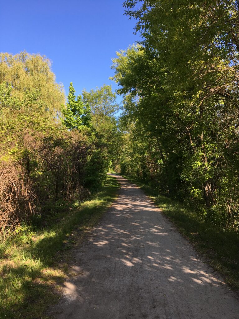 Brantford Rail Trail path