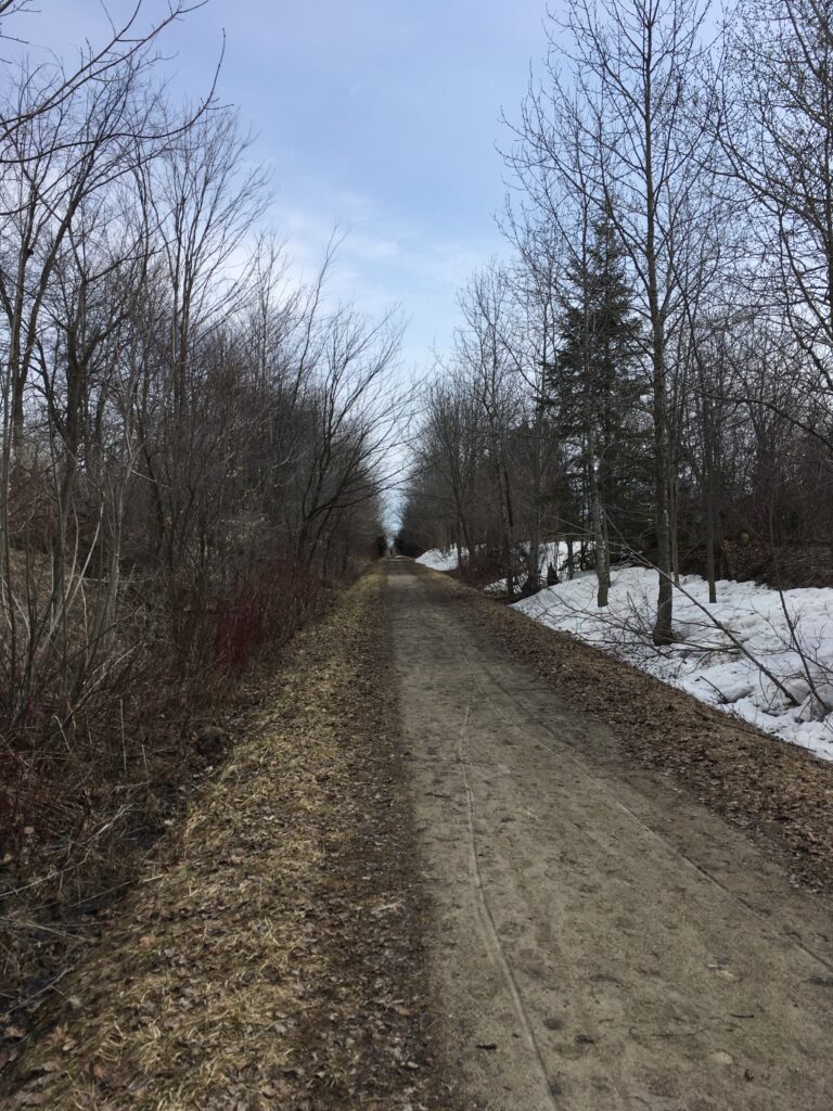 The Guelph to Goderich rail trail pictured in early spring.