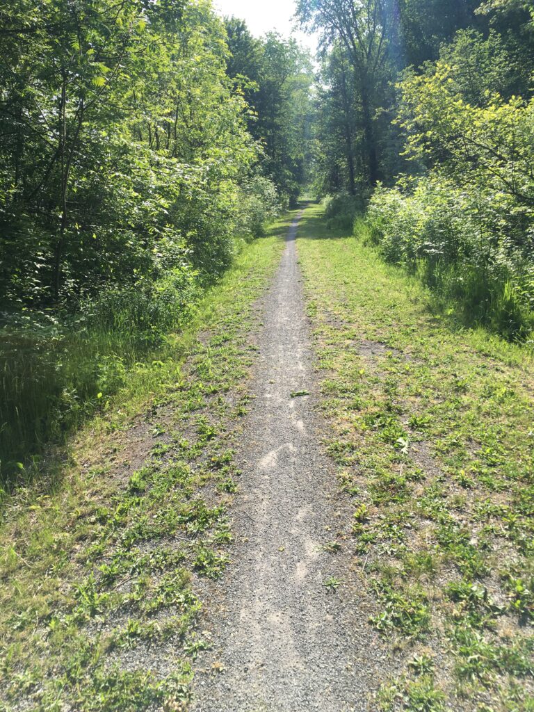 Rail trail on the way to Port Colborne