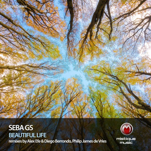 Beautiful Life (Philip James de Vries Remix) Cover Art